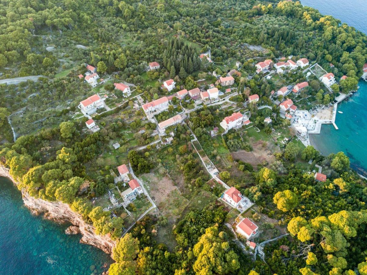 Apartment Lujak Donje Celo Екстер'єр фото